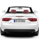 Illustration for article titled 2009 Audi A5 Convertible Pictures Leak Out Ahead Of Official Unveil